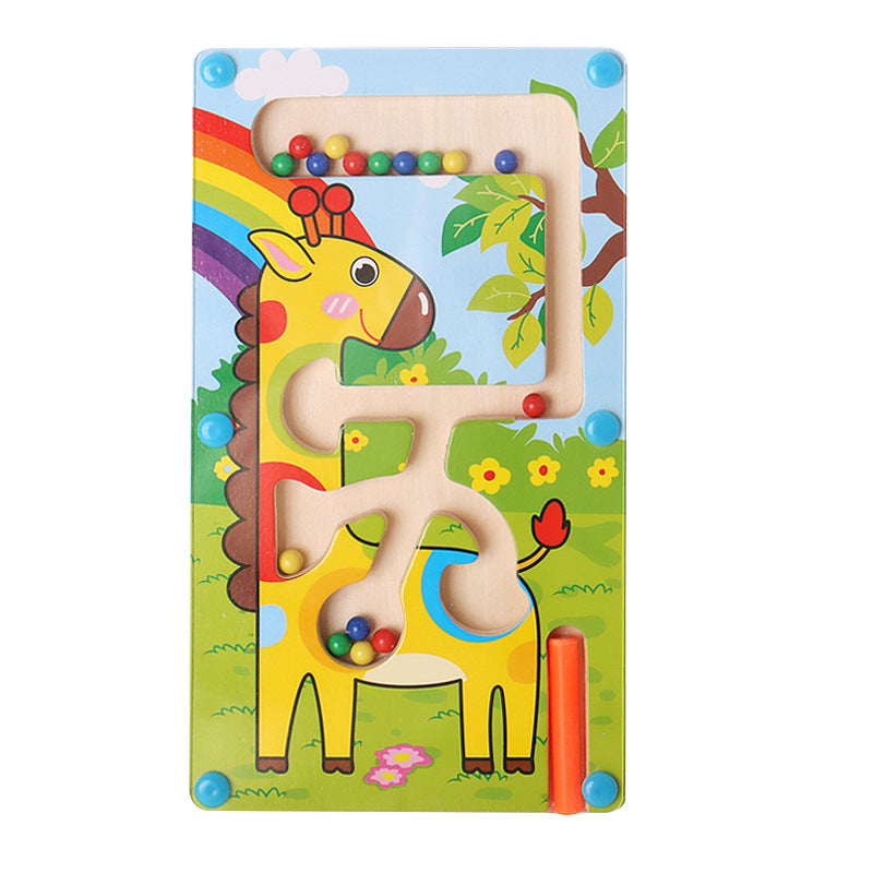 Color Matching Magnetic Maze