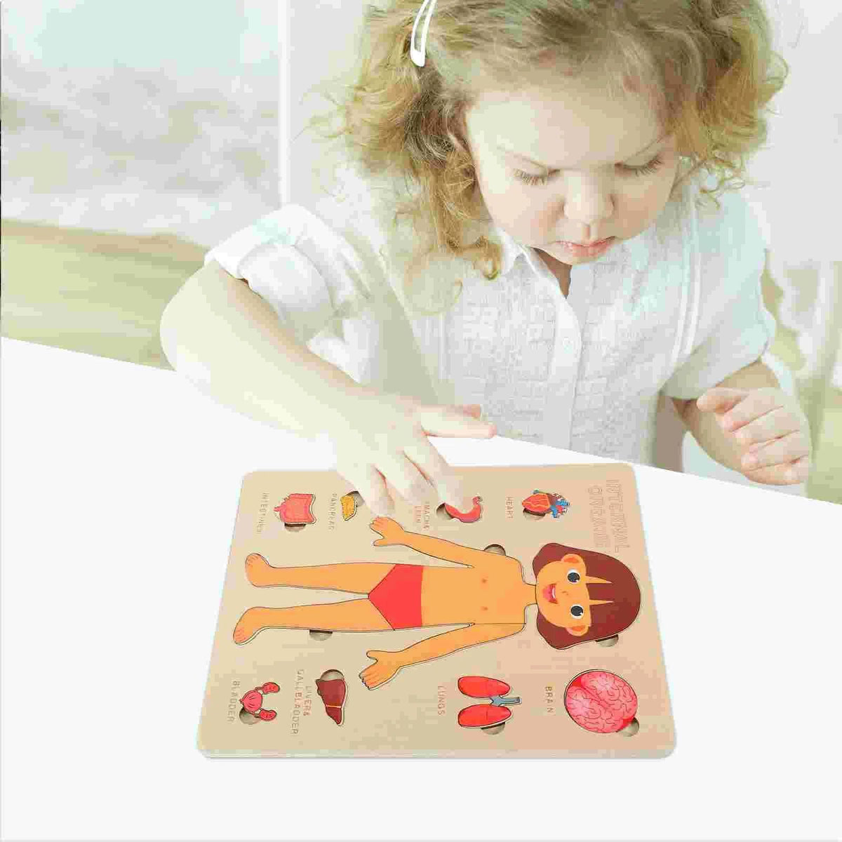 Human Anatomy Puzzle