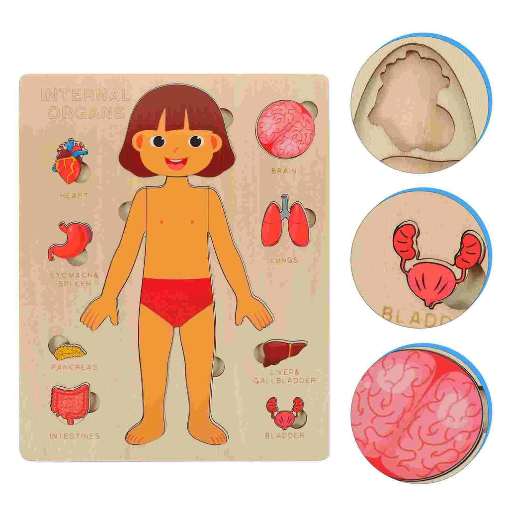 Human Anatomy Puzzle