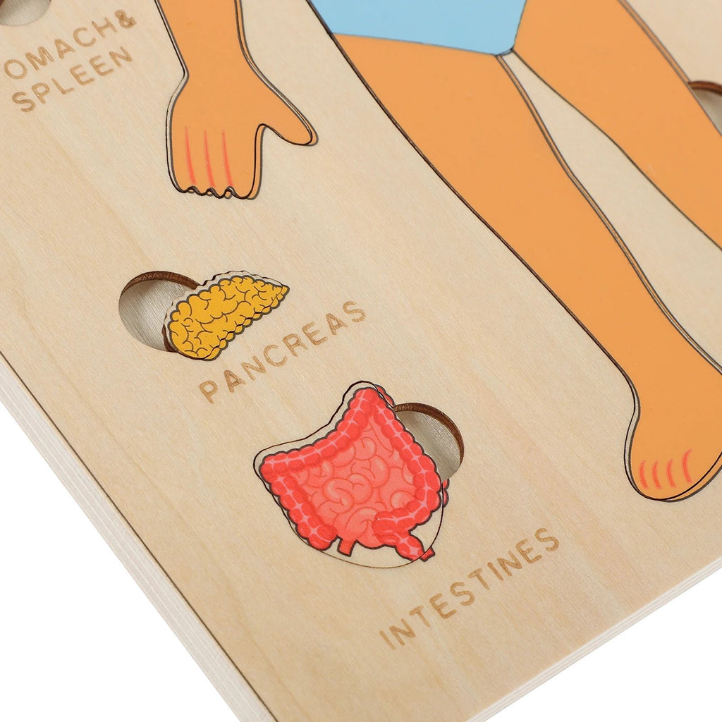 Human Anatomy Puzzle